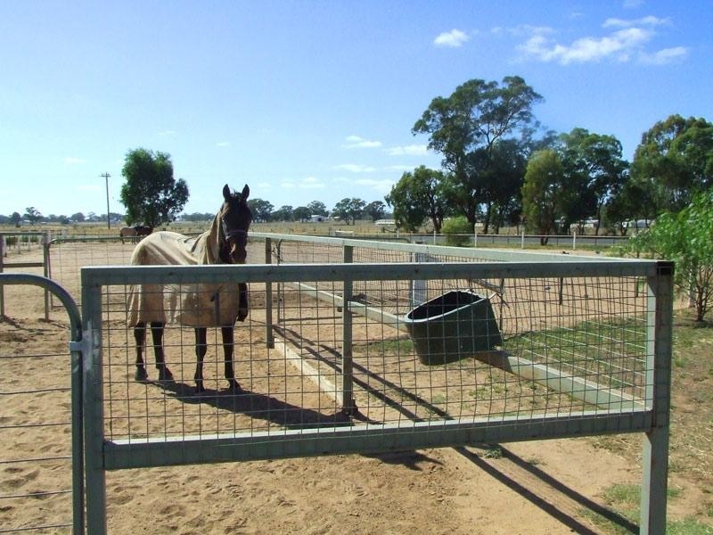 323 Old Murray Road, Huntly VIC 3551