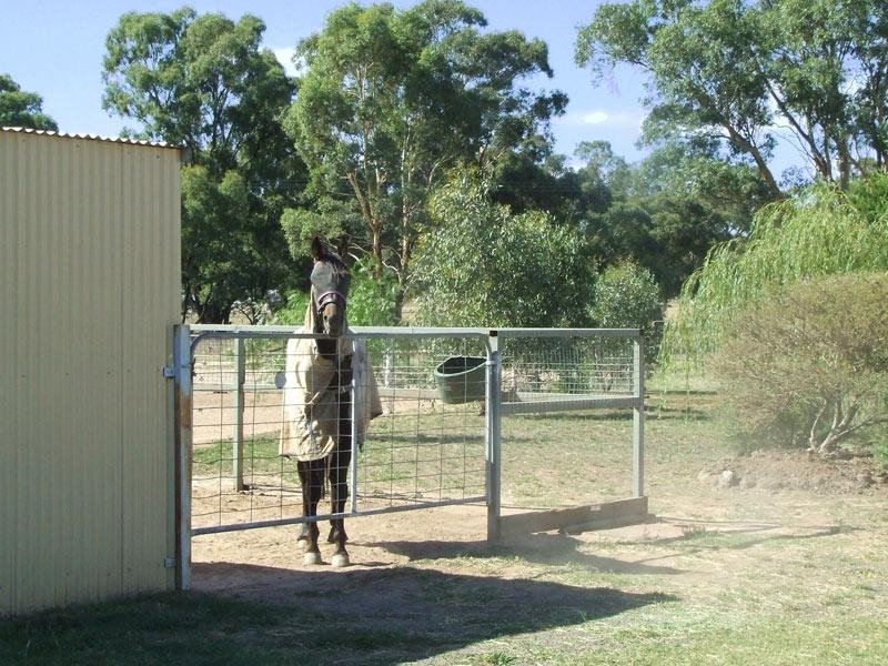 323 Old Murray Road, Huntly VIC 3551