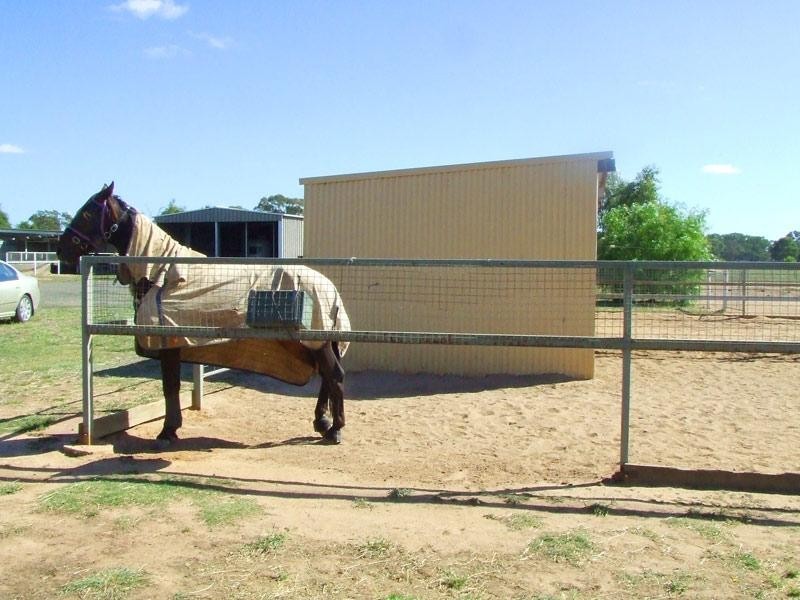 323 Old Murray Road, Huntly VIC 3551