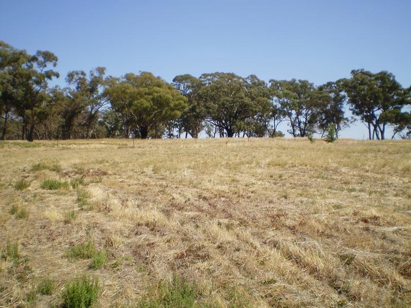 333 Mulberry Lane, Lockwood South VIC 3551