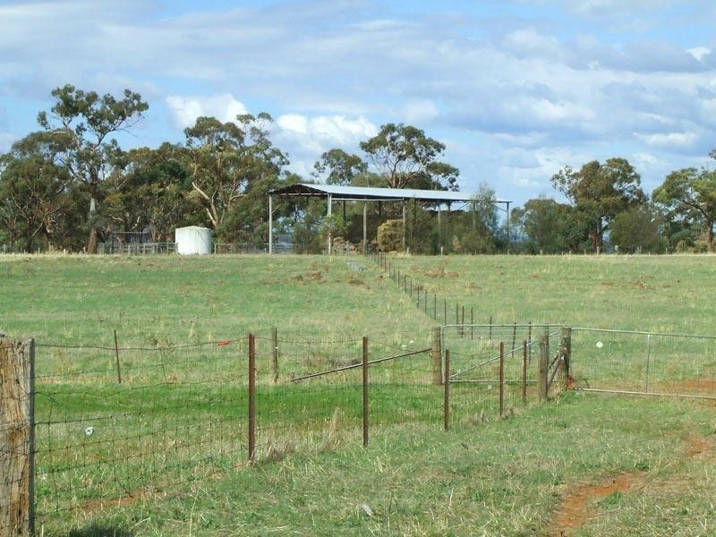 437 Joyces Creek Road, Newstead VIC 3462