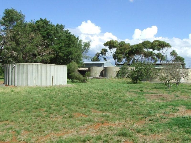 437 Joyces Creek Road, Newstead VIC 3462