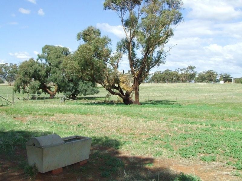 437 Joyces Creek Road, Newstead VIC 3462