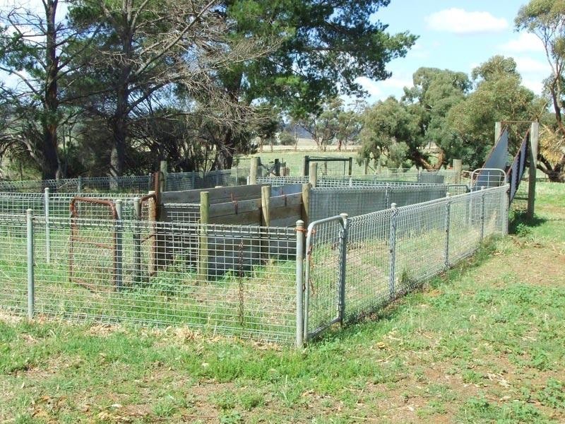 437 Joyces Creek Road, Newstead VIC 3462