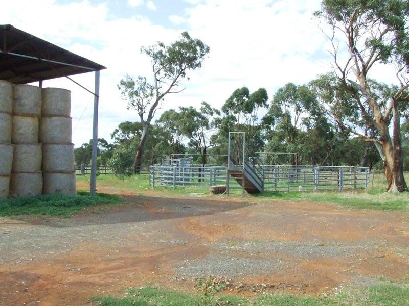 437 Joyces Creek Road, Newstead VIC 3462