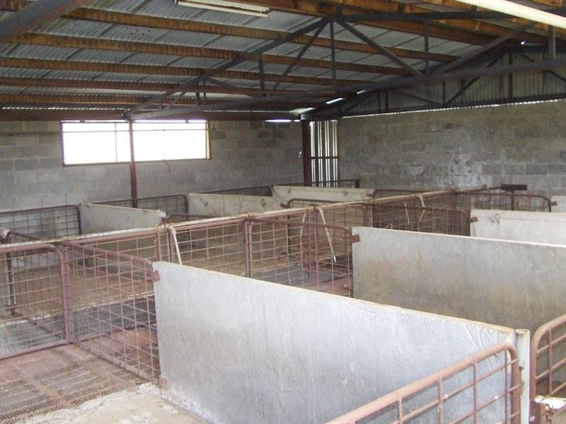 437 Joyces Creek Road, Newstead VIC 3462