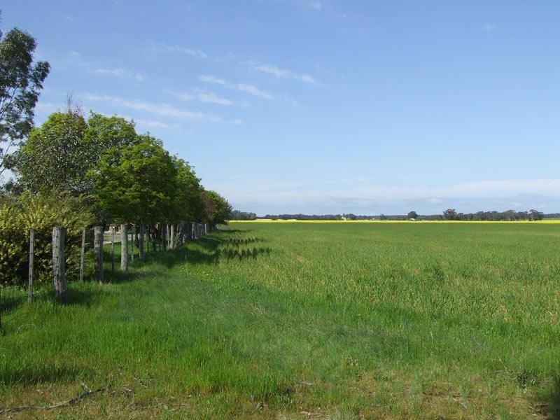 212 Bet Bet-Betley Road, Bet Bet VIC 3472
