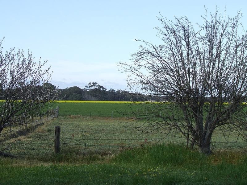 212 Bet Bet-Betley Road, Bet Bet VIC 3472