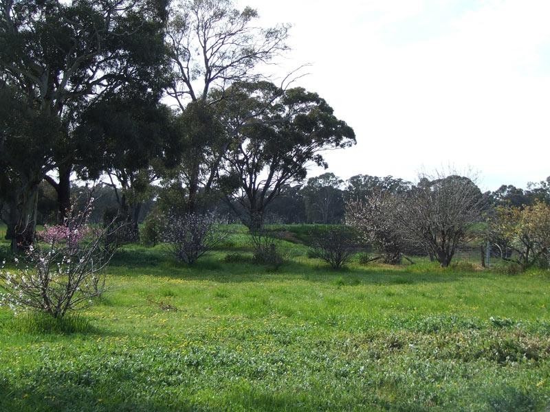 212 Bet Bet-Betley Road, Bet Bet VIC 3472