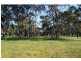 674 Harcourt-Sutton Grange Road, Sutton Grange VIC 3448