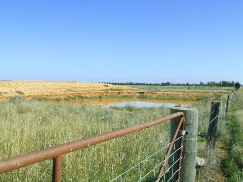 Bridgewater VIC 3516