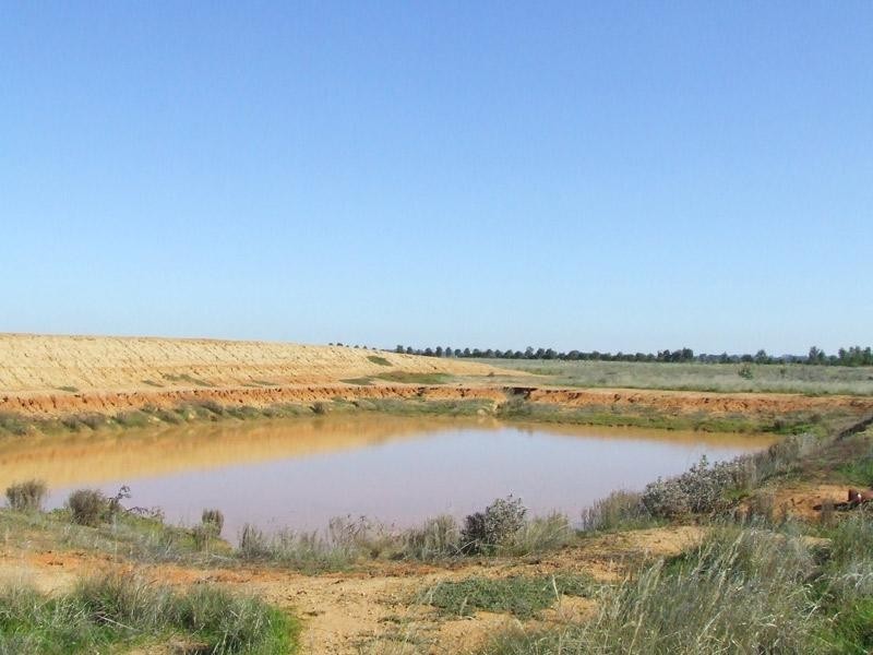 Bridgewater VIC 3516