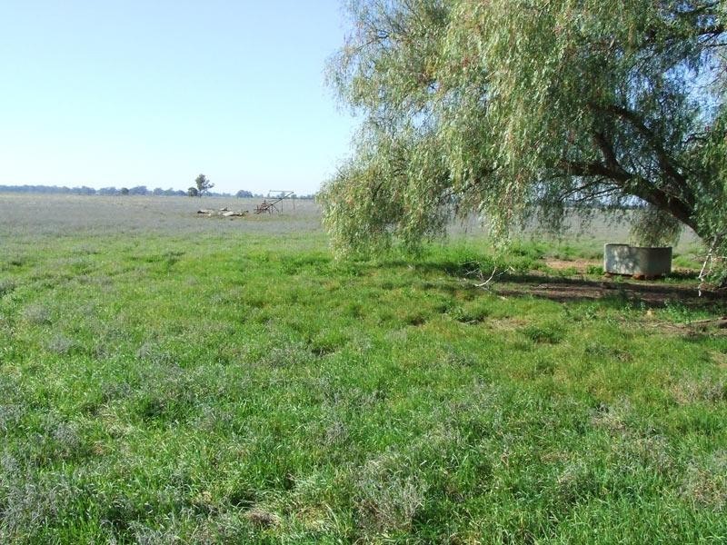 Bridgewater VIC 3516