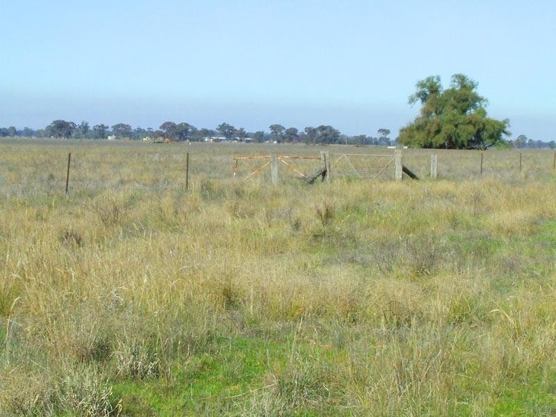 Bridgewater VIC 3516