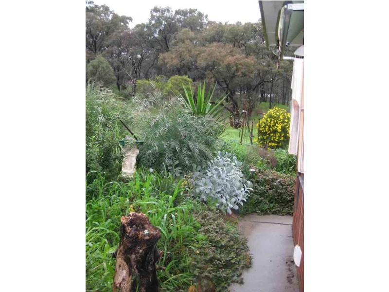 Unit 4/116 Murphy Street, East Bendigo VIC 3550