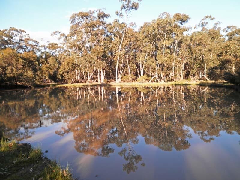 758 Rassmussens Road, Bagshot North VIC 3551