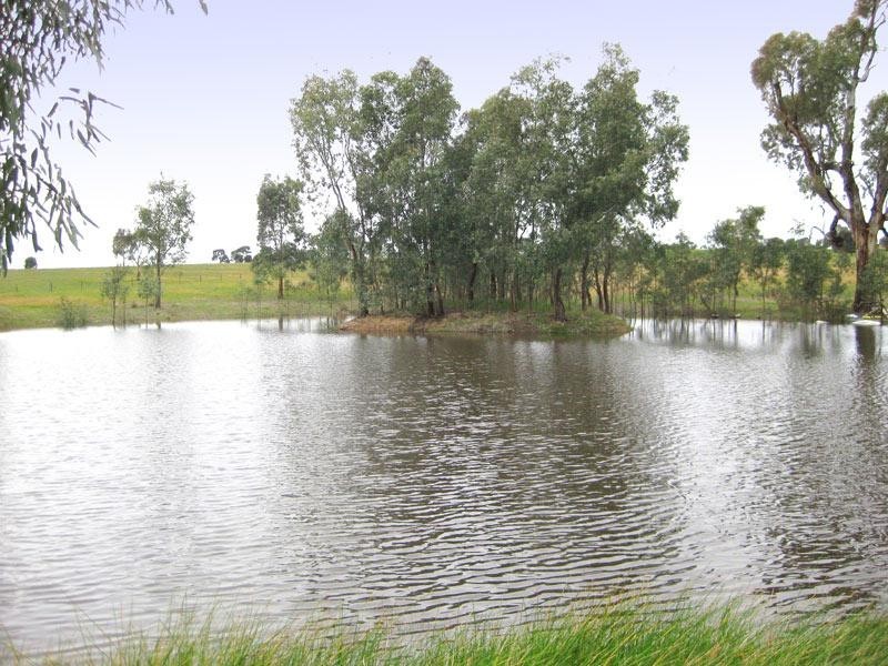 122 Springvale Road, Lockwood South VIC 3551