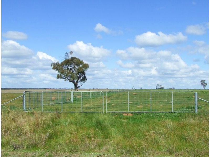 Woodstock On Loddon VIC 3551