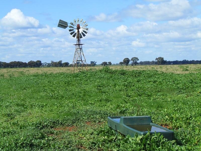 Woodstock On Loddon VIC 3551