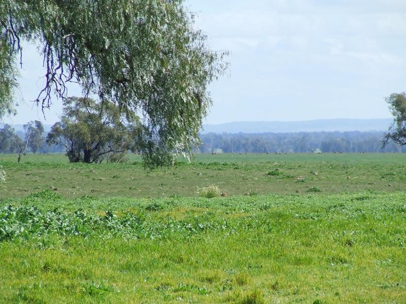 Woodstock On Loddon VIC 3551