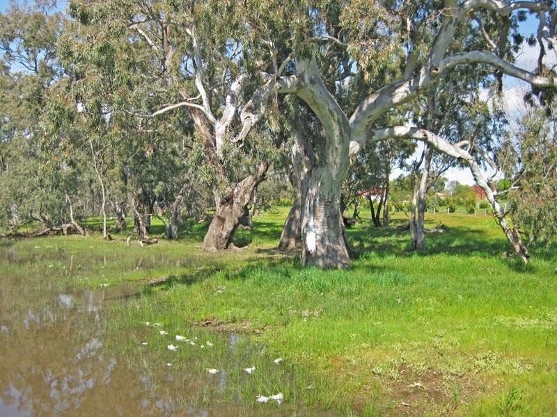 180 Whatleys Road, Goornong VIC 3557