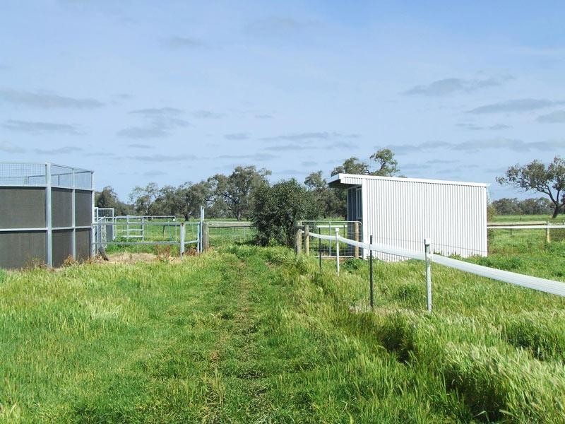 3956 Dingee Rochester Road, Dingee VIC 3571