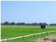3956 Dingee Rochester Road, Dingee VIC 3571