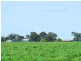 3956 Dingee Rochester Road, Dingee VIC 3571