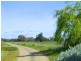 3956 Dingee Rochester Road, Dingee VIC 3571