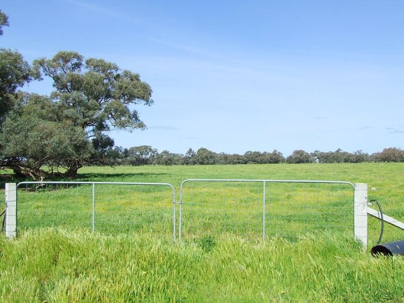 3956 Dingee Rochester Road, Dingee VIC 3571