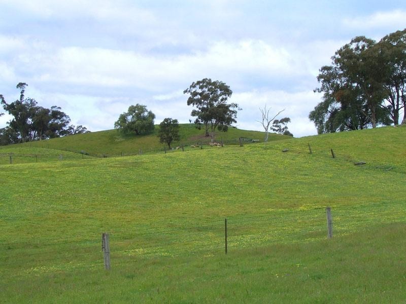 869 Crusoe Road, Lockwood South VIC 3551