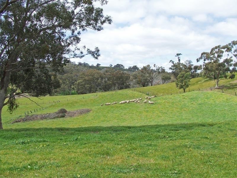 869 Crusoe Road, Lockwood South VIC 3551