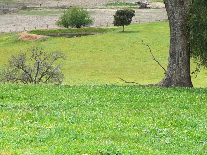 869 Crusoe Road, Lockwood South VIC 3551