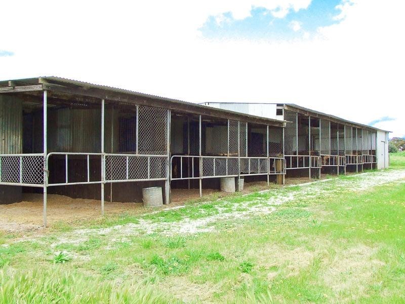 13 Recreation Road, Sebastian VIC 3556