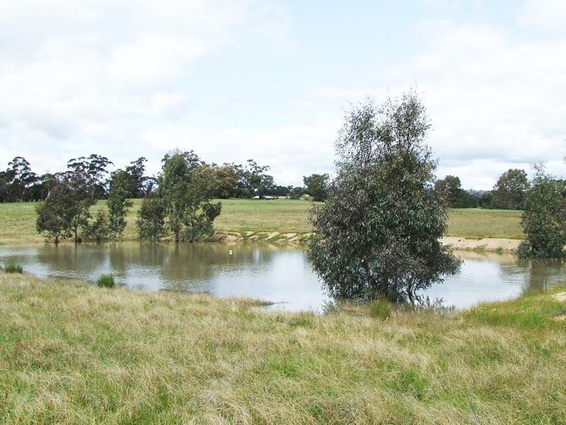 89 Beilharz Road, Ravenswood VIC 3453