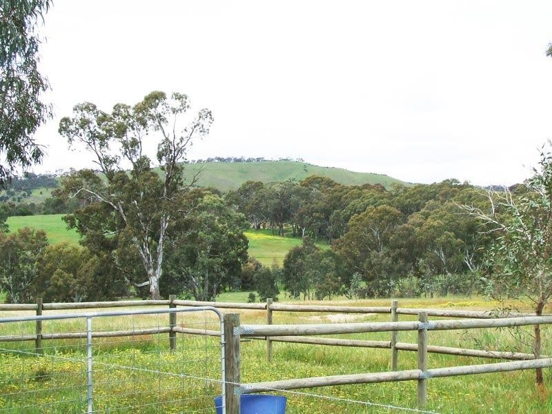 89 Beilharz Road, Ravenswood VIC 3453