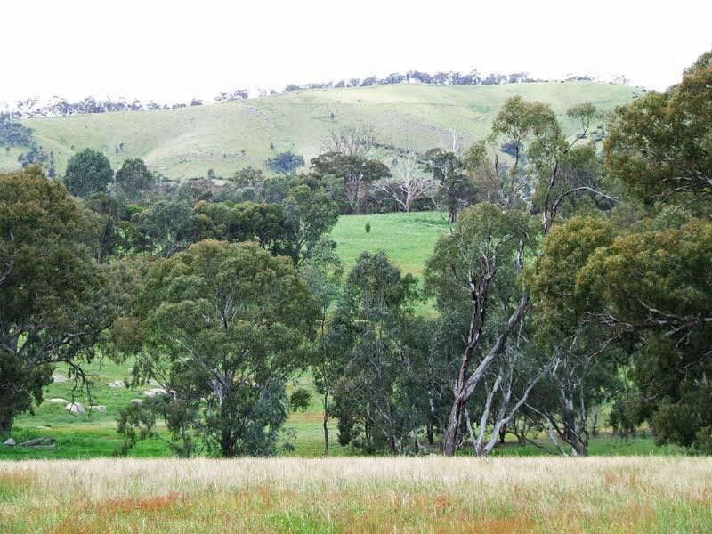 89 Beilharz Road, Ravenswood VIC 3453