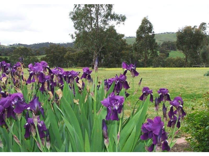 89 Beilharz Road, Ravenswood VIC 3453