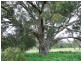 89 Beilharz Road, Ravenswood VIC 3453