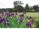 89 Beilharz Road, Bendigo VIC 3550