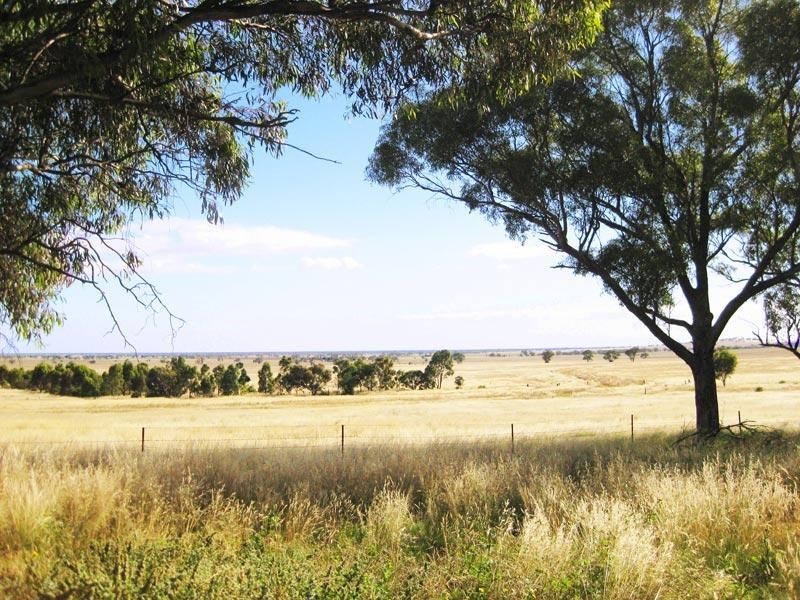 Lot 2/384 Charlton Borung Road, Borung VIC 3518