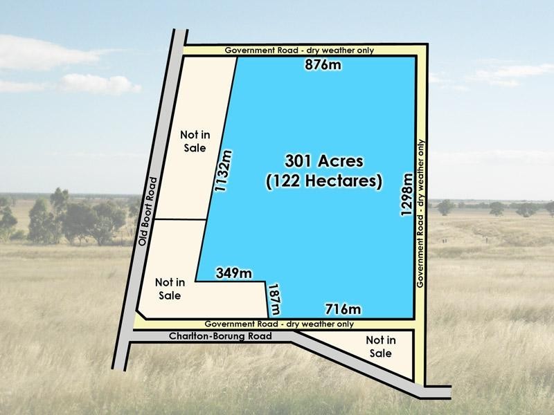 Lot 2/384 Charlton Borung Road, Borung VIC 3518