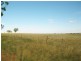 Lot 2/384 Charlton Borung Road, Borung VIC 3518