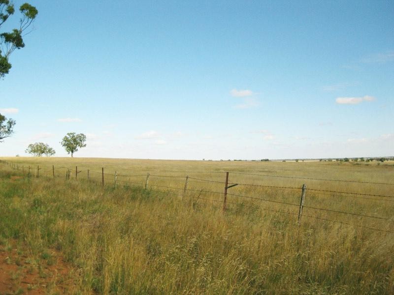 Lot 2/384 Charlton Borung Road, Borung VIC 3518