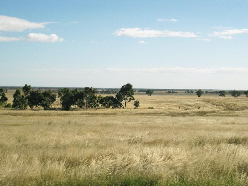 Lot 2/384 Charlton Borung Road, Borung VIC 3518