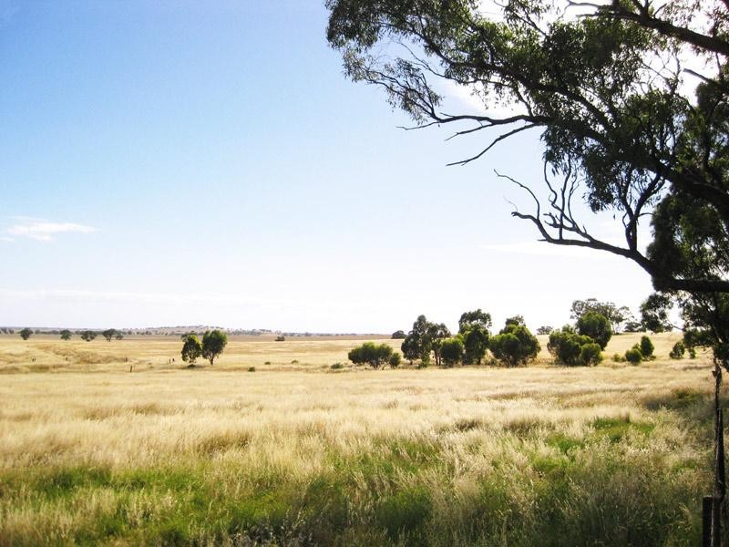 Lot 2/384 Charlton Borung Road, Borung VIC 3518