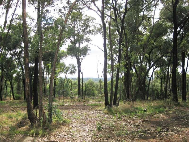 0 Lillie Lane and Sandstone Rise, Strathdale VIC 3550