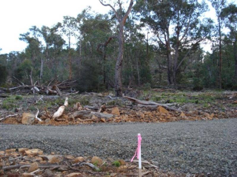 LOT 50 POATINA ROAD, Arthurs Lake TAS 7030 the real estate agency