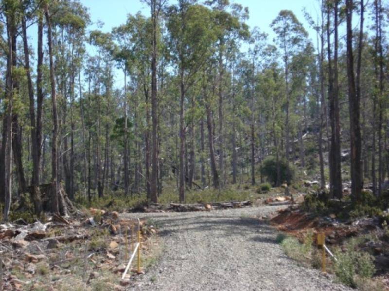 LOT 50 POATINA ROAD, Arthurs Lake TAS 7030 the real estate agency