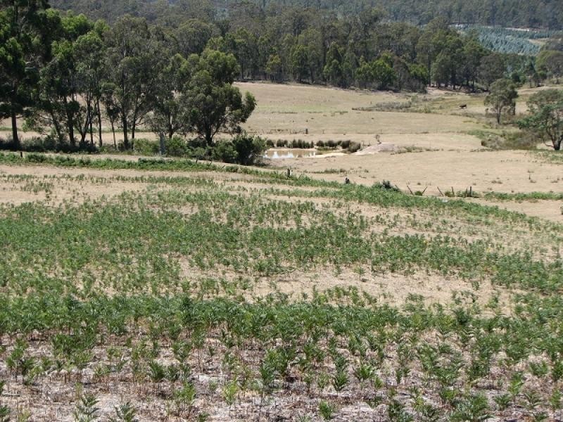 1592 BUCKLAND ROAD WOODSDALE, Sorell TAS 7172